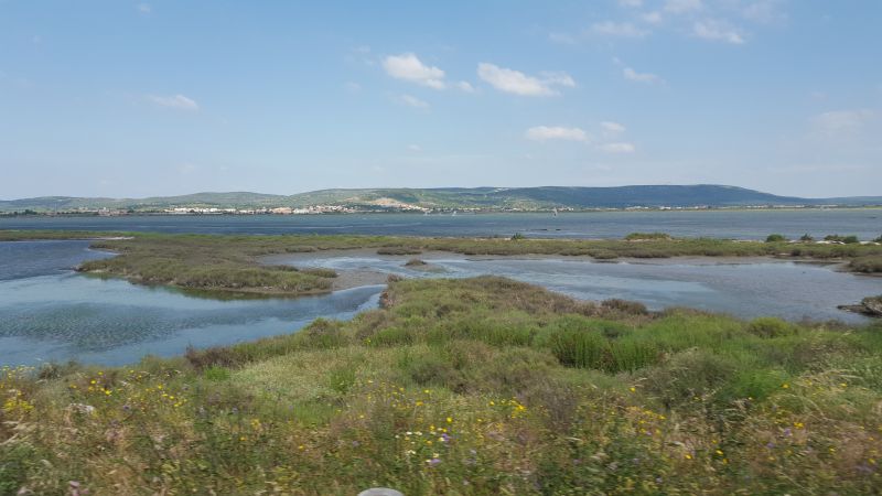 foto 19 Mietobjekt von Privatpersonen Frontignan appartement Languedoc-Roussillon Hrault Nahaufnahme