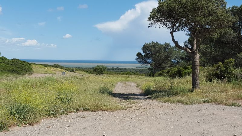 foto 22 Mietobjekt von Privatpersonen Frontignan appartement Languedoc-Roussillon Hrault Nahaufnahme