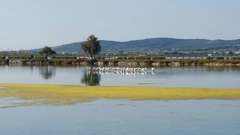 foto 18 Mietobjekt von Privatpersonen Frontignan appartement Languedoc-Roussillon Hrault Nahaufnahme