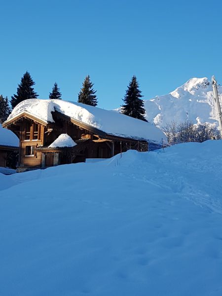 foto 18 Mietobjekt von Privatpersonen Praz de Lys Sommand chalet Rhne-Alpes Haute-Savoie Ansicht des Objektes