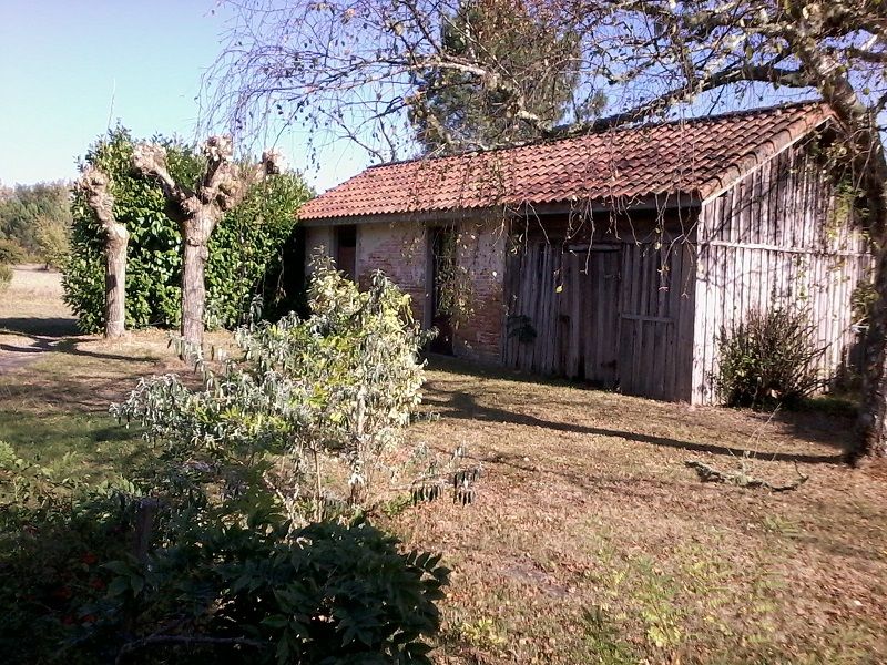 foto 17 Mietobjekt von Privatpersonen Sabres maison Aquitanien Landes Ansicht des Objektes