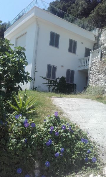 foto 4 Mietobjekt von Privatpersonen Vieste villa Apulien Foggia (+Umland)