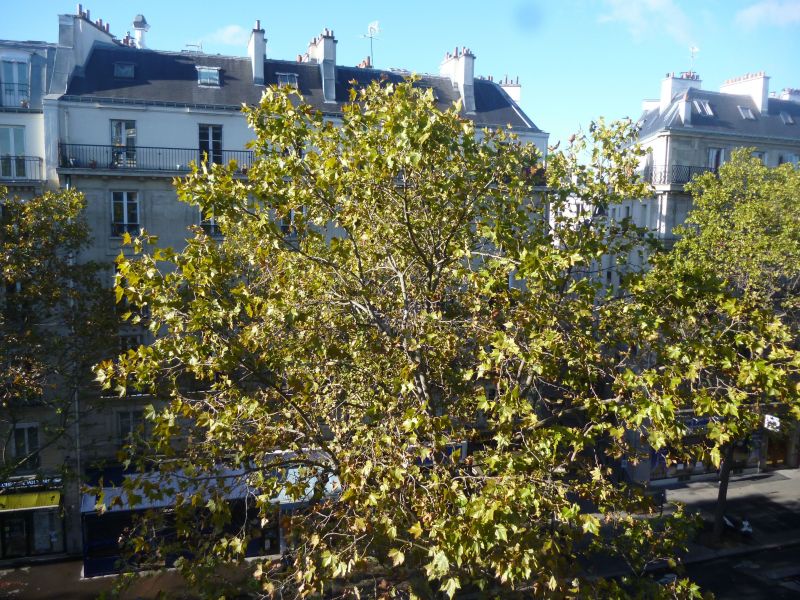 foto 7 Mietobjekt von Privatpersonen PARIS appartement Ile-de-France Paris Ausblick aus der Ferienunterkunft