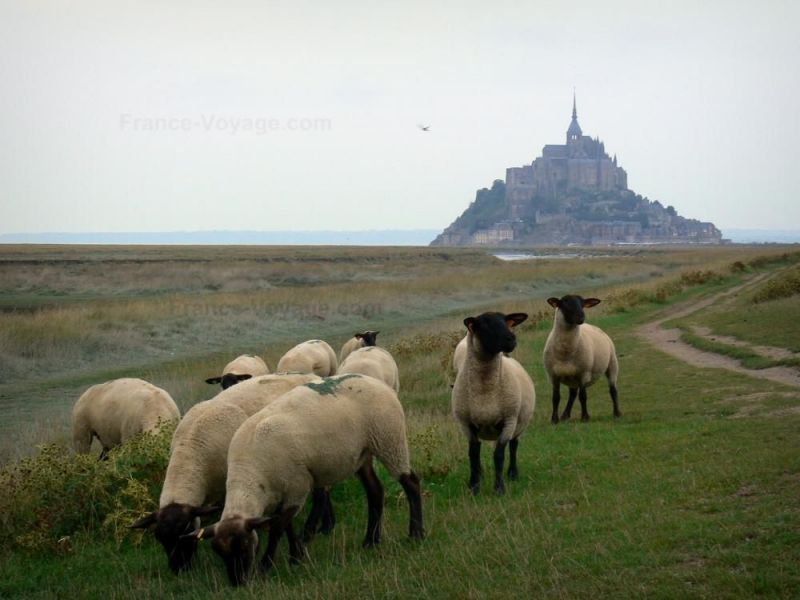 foto 22 Mietobjekt von Privatpersonen Mont Saint Michel maison Basse-Normandie Manche andere