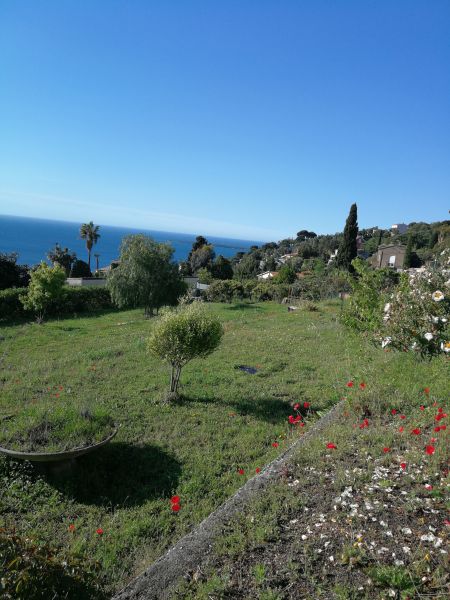 foto 22 Mietobjekt von Privatpersonen Cannes villa Provence-Alpes-Cte d'Azur Alpes-Maritimes Garten