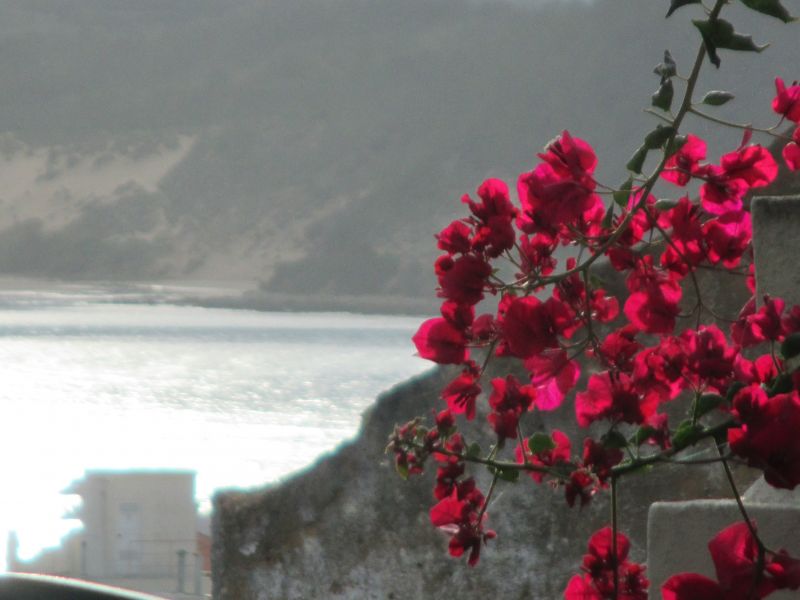 foto 15 Mietobjekt von Privatpersonen So Martinho do Porto maison Estremadura  e Ribatejo Estremadura Ausblick vom Balkon