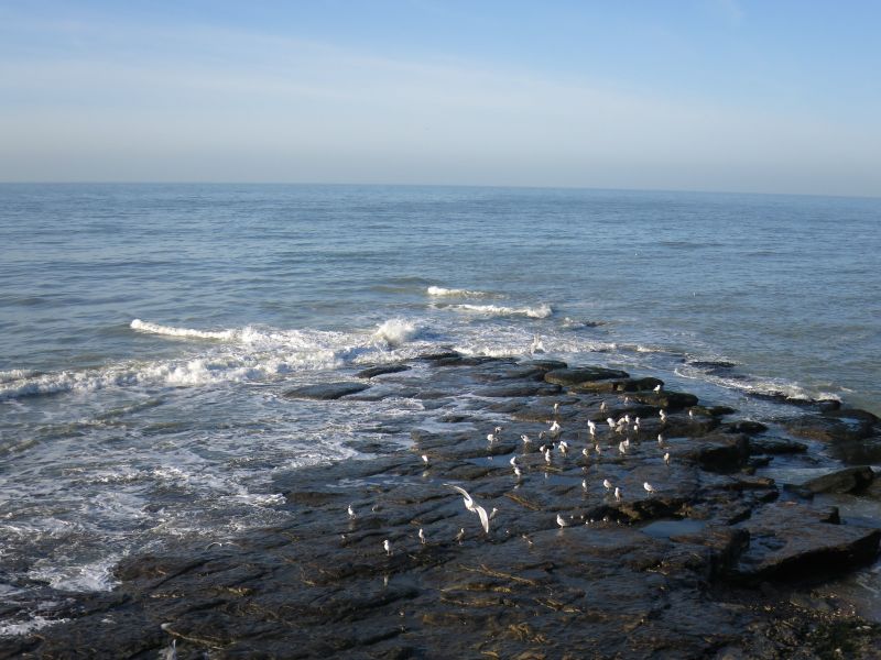 foto 6 Mietobjekt von Privatpersonen Wimereux appartement Nord-Pas de Calais Pas de Calais Ausblick aus der Ferienunterkunft