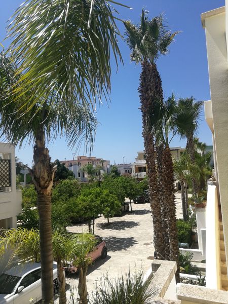 foto 1 Mietobjekt von Privatpersonen Gallipoli appartement Apulien  Ausblick vom Balkon