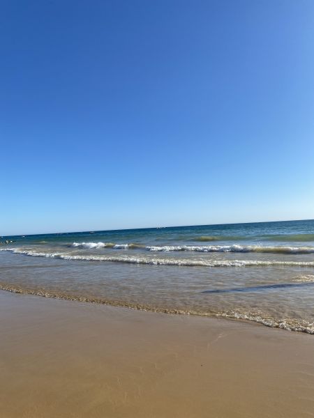 foto 5 Mietobjekt von Privatpersonen Albufeira villa Algarve  Strand