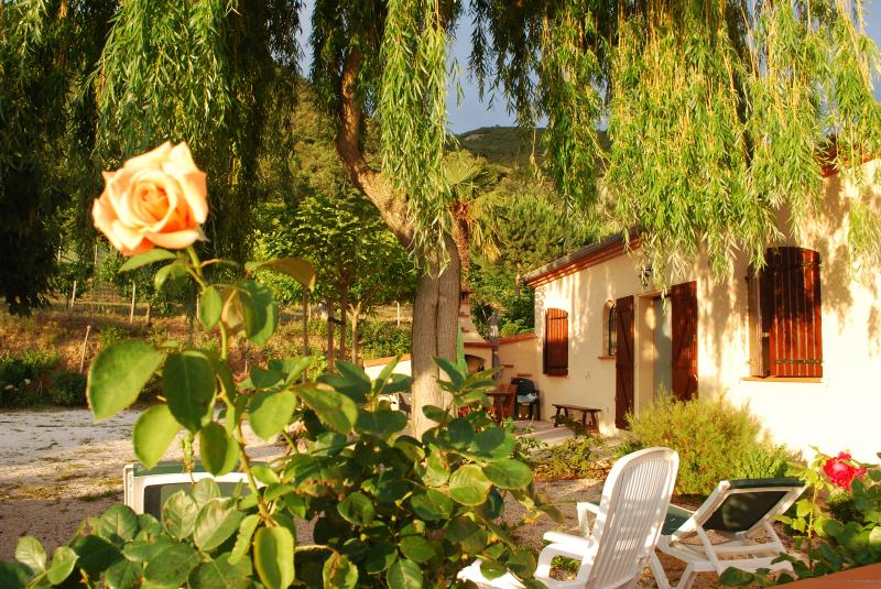 foto 0 Mietobjekt von Privatpersonen Ceret appartement Languedoc-Roussillon Pyrenen (Mittelmeer) Ansicht des Objektes