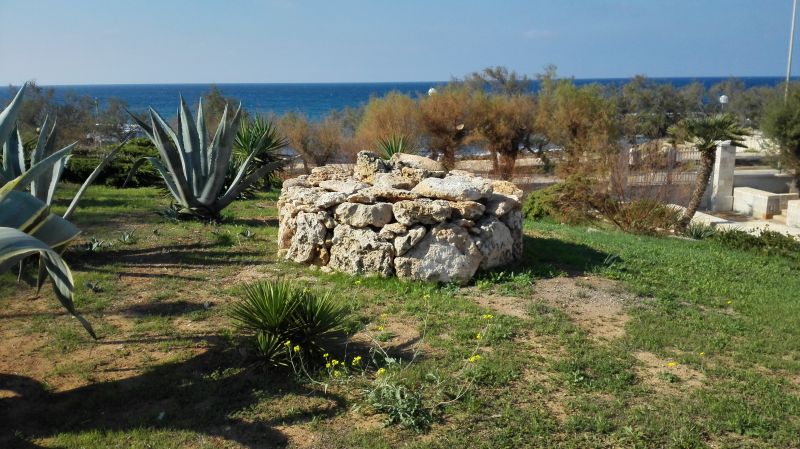 foto 2 Mietobjekt von Privatpersonen Gallipoli appartement Apulien Lecce (+Umland) Garten