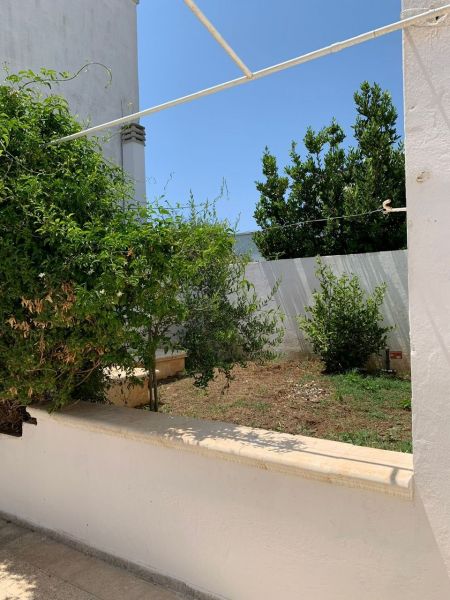 foto 22 Mietobjekt von Privatpersonen Santa Maria di Leuca appartement Apulien Lecce (+Umland) Garten
