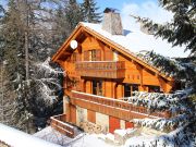 Ferienunterknfte ferien in den bergen Savoyen: chalet Nr. 79673