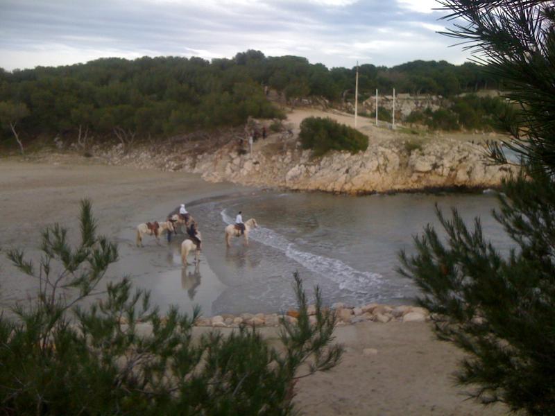 foto 21 Mietobjekt von Privatpersonen Sausset Les Pins appartement Provence-Alpes-Cte d'Azur Bouches du Rhne Strand