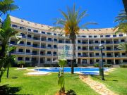 Ferienunterknfte Costa Blanca fr 3 personen: appartement Nr. 111557