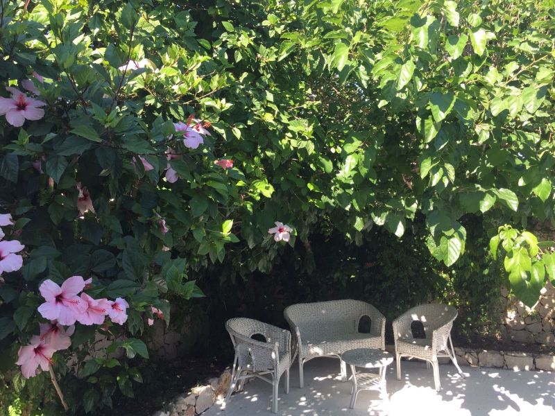foto 4 Mietobjekt von Privatpersonen Pachino appartement Sizilien Syrakus (+Umland) Garten