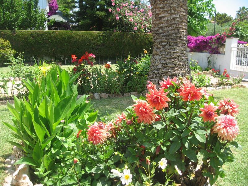 foto 0 Mietobjekt von Privatpersonen Roda de Bera maison Katalonien Provinz Tarragona Garten