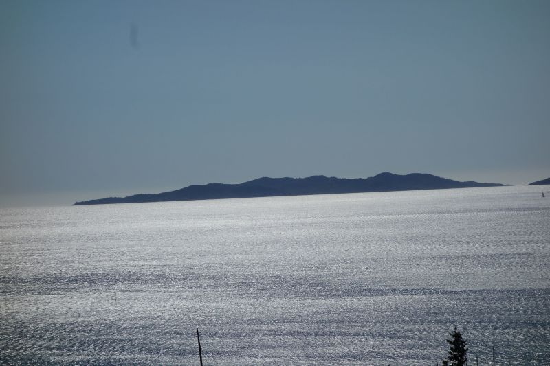 foto 2 Mietobjekt von Privatpersonen Le Lavandou appartement Provence-Alpes-Cte d'Azur Var Ausblick von der Terrasse