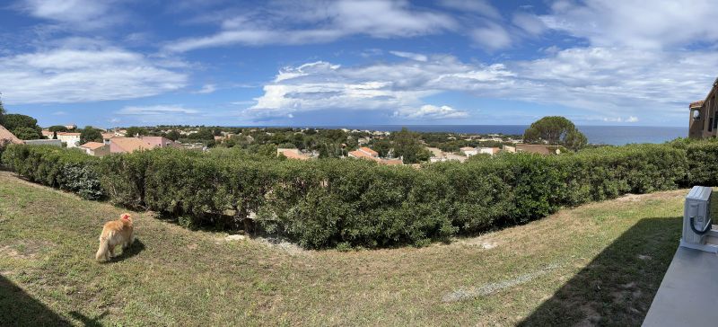 foto 13 Mietobjekt von Privatpersonen Lumio studio Korsika Haute-Corse Ausblick von der Terrasse