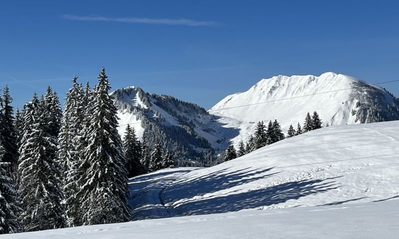 foto 2 Mietobjekt von Privatpersonen La Clusaz studio Rhne-Alpes Haute-Savoie