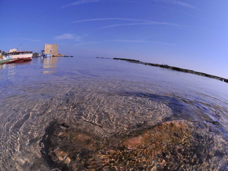 foto 0 Mietobjekt von Privatpersonen Ostuni villa Apulien Brindisi (+Umland)