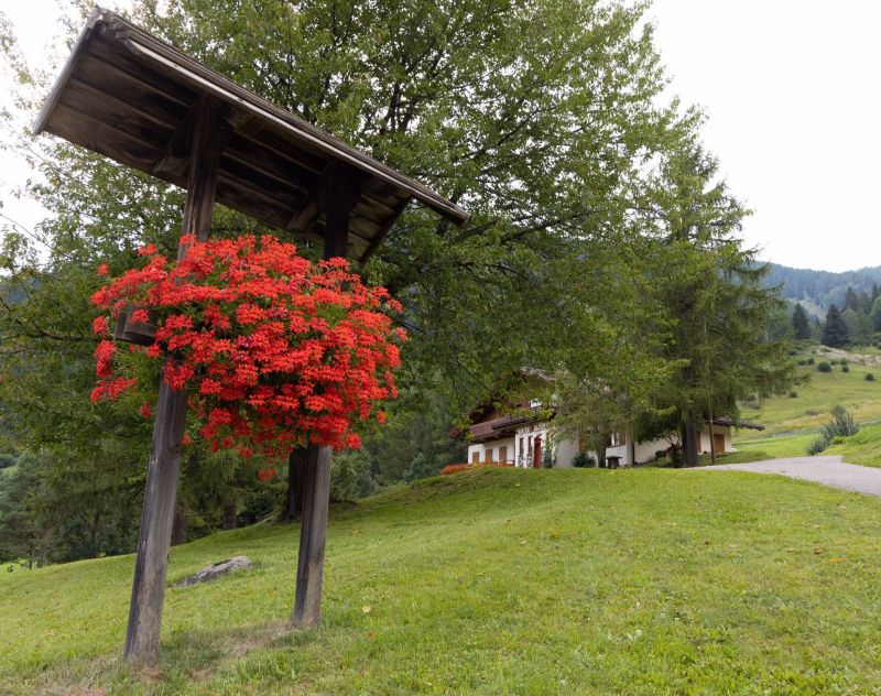 foto 7 Mietobjekt von Privatpersonen Predazzo appartement Trentino-Sdtirol Trient (+Umland) Ausblick aus der Ferienunterkunft