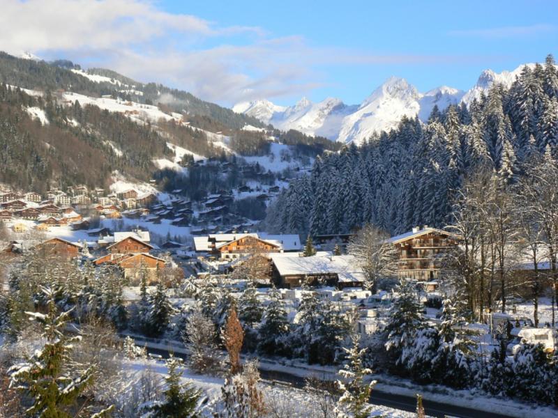 foto 10 Mietobjekt von Privatpersonen Le Grand Bornand appartement Rhne-Alpes Haute-Savoie Ausblick aus der Ferienunterkunft