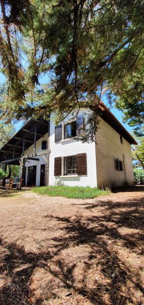 foto 1 Mietobjekt von Privatpersonen Cap Ferret villa Aquitanien Gironde Ansicht des Objektes