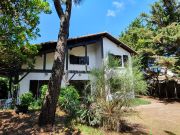 Ferienunterknfte Dune Du Pyla: villa Nr. 68353