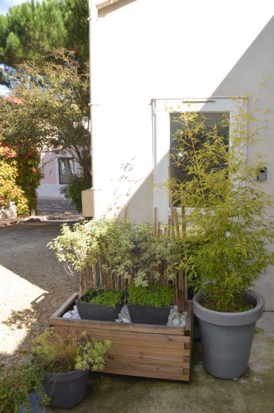 foto 20 Mietobjekt von Privatpersonen Meschers maison Poitou-Charentes Charente-Maritime Ausblick von der Terrasse