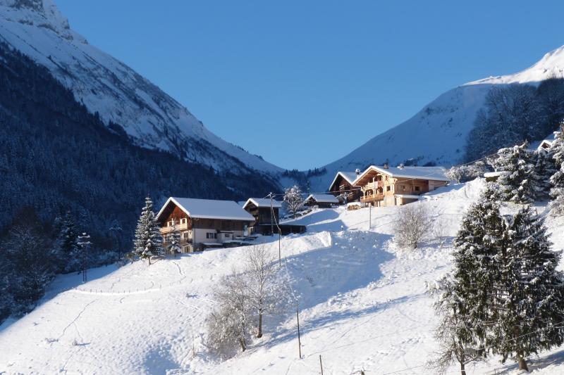 foto 14 Mietobjekt von Privatpersonen La Clusaz chalet Rhne-Alpes Haute-Savoie Nahaufnahme