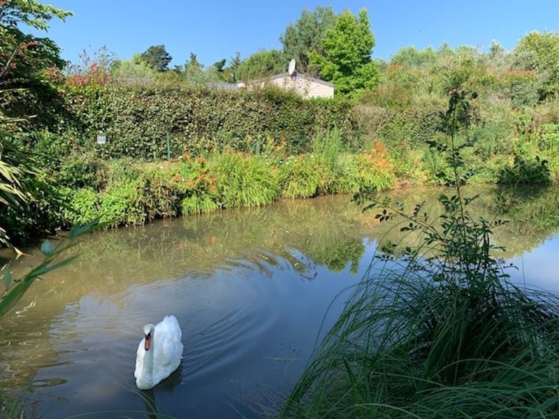 foto 25 Mietobjekt von Privatpersonen La Tranche-sur-mer mobilhome Pays de la Loire Vende andere