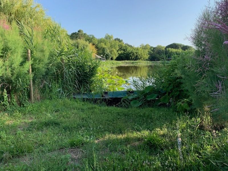 foto 26 Mietobjekt von Privatpersonen La Tranche-sur-mer mobilhome Pays de la Loire Vende Ansicht des Objektes