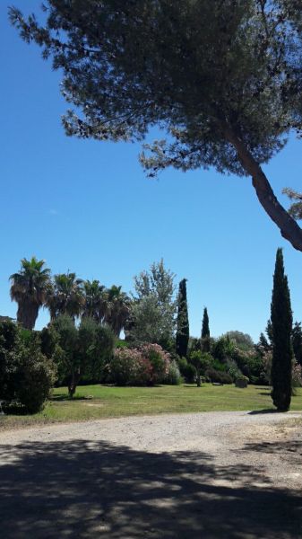 foto 21 Mietobjekt von Privatpersonen Saint Tropez appartement Provence-Alpes-Cte d'Azur Var Garten