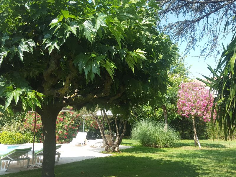 foto 4 Mietobjekt von Privatpersonen Saint Tropez appartement Provence-Alpes-Cte d'Azur Var Garten