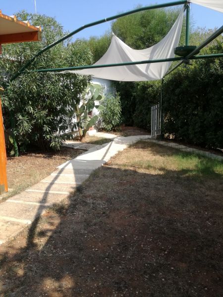 foto 26 Mietobjekt von Privatpersonen Ostuni appartement Apulien Brindisi (+Umland) Garten