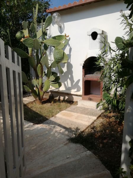 foto 27 Mietobjekt von Privatpersonen Ostuni appartement Apulien Brindisi (+Umland) Sommerkche