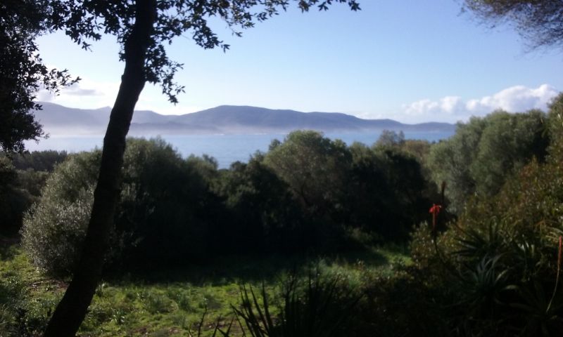 foto 12 Mietobjekt von Privatpersonen Olmeto maison Korsika Corse du Sud Ausblick aus der Ferienunterkunft