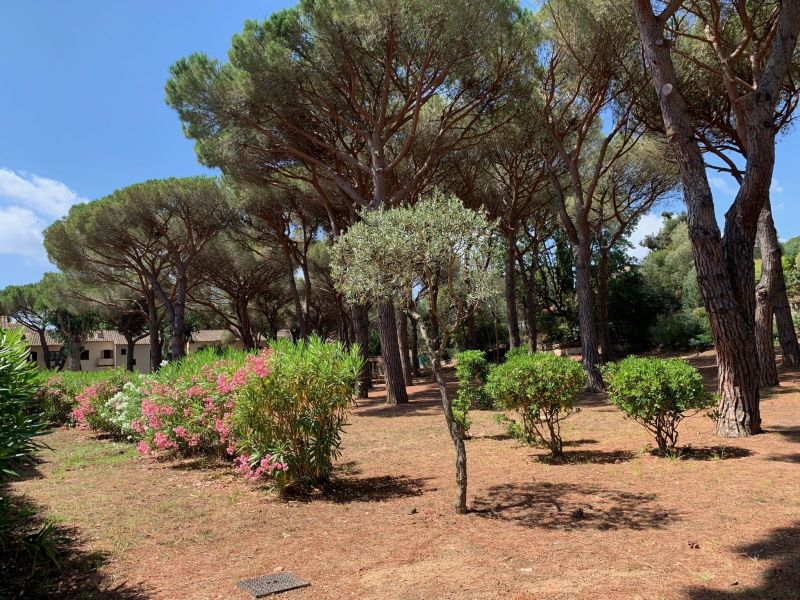 foto 16 Mietobjekt von Privatpersonen Les Issambres appartement Provence-Alpes-Cte d'Azur Var Garten