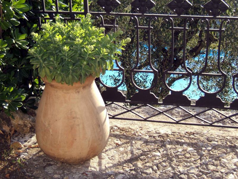 foto 17 Mietobjekt von Privatpersonen Grasse villa Provence-Alpes-Cte d'Azur Alpes-Maritimes Garten