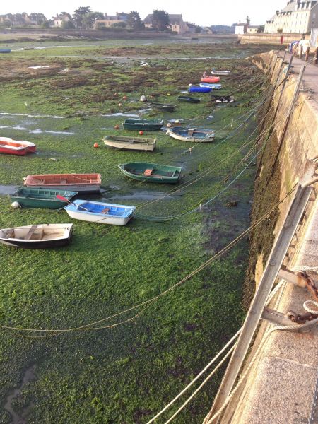 foto 28 Mietobjekt von Privatpersonen Barfleur maison Basse-Normandie Manche