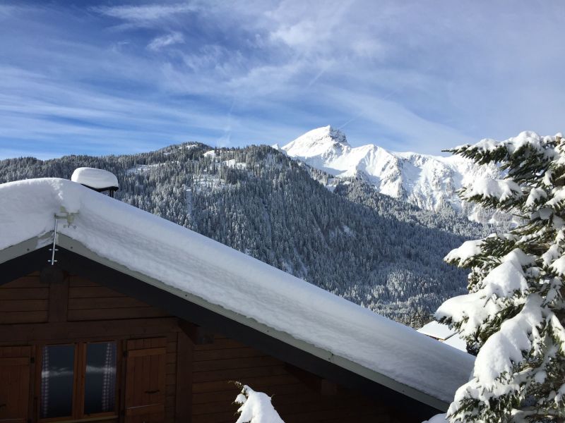 foto 1 Mietobjekt von Privatpersonen Chtel chalet Rhne-Alpes Haute-Savoie