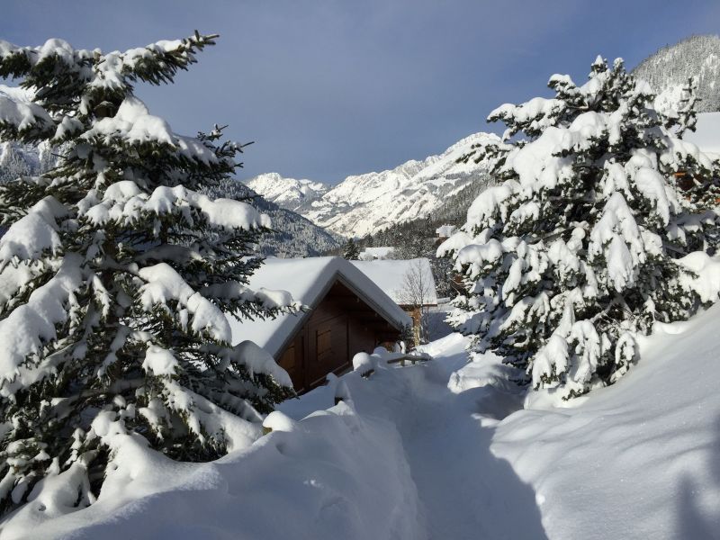 foto 2 Mietobjekt von Privatpersonen Chtel chalet Rhne-Alpes Haute-Savoie