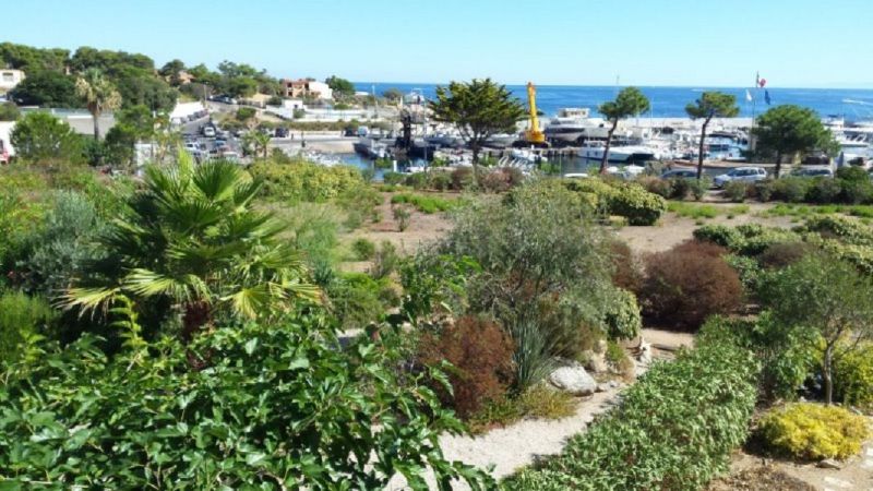 foto 8 Mietobjekt von Privatpersonen Lumio appartement Korsika Haute-Corse Ausblick von der Terrasse
