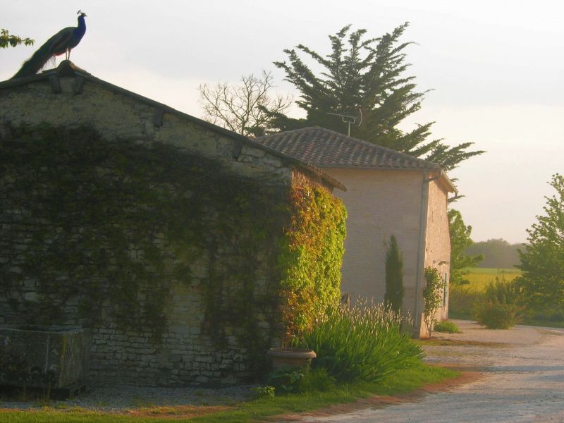 foto 21 Mietobjekt von Privatpersonen La Rochelle gite Poitou-Charentes Charente-Maritime Ansicht des Objektes