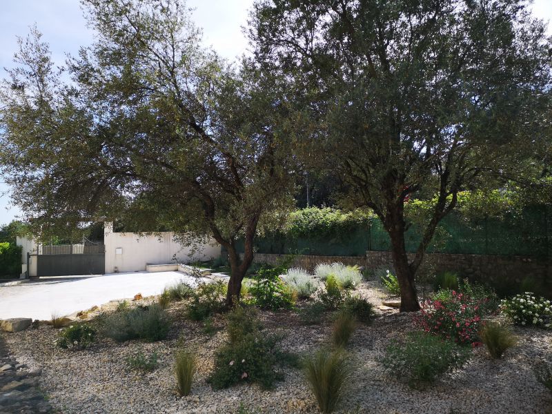 foto 1 Mietobjekt von Privatpersonen Saint-Martin-de-Valgalgues maison Languedoc-Roussillon Gard Garten