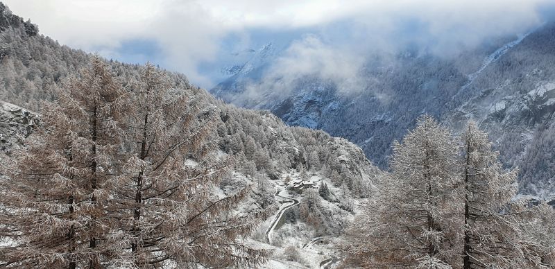 foto 11 Mietobjekt von Privatpersonen Bionaz chalet Aostatal Aosta (+Umland) Ausblick aus der Ferienunterkunft