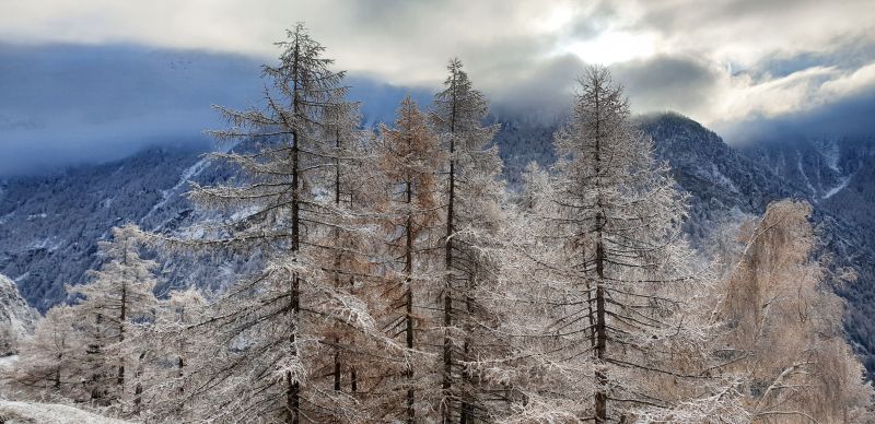foto 14 Mietobjekt von Privatpersonen Bionaz chalet Aostatal Aosta (+Umland) andere