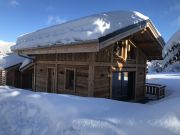 Ferienunterknfte Haute-Savoie: chalet Nr. 128514