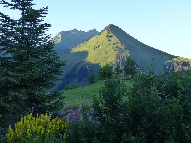 foto 12 Mietobjekt von Privatpersonen Praz de Lys Sommand chalet Rhne-Alpes Haute-Savoie Ausblick von der Terrasse